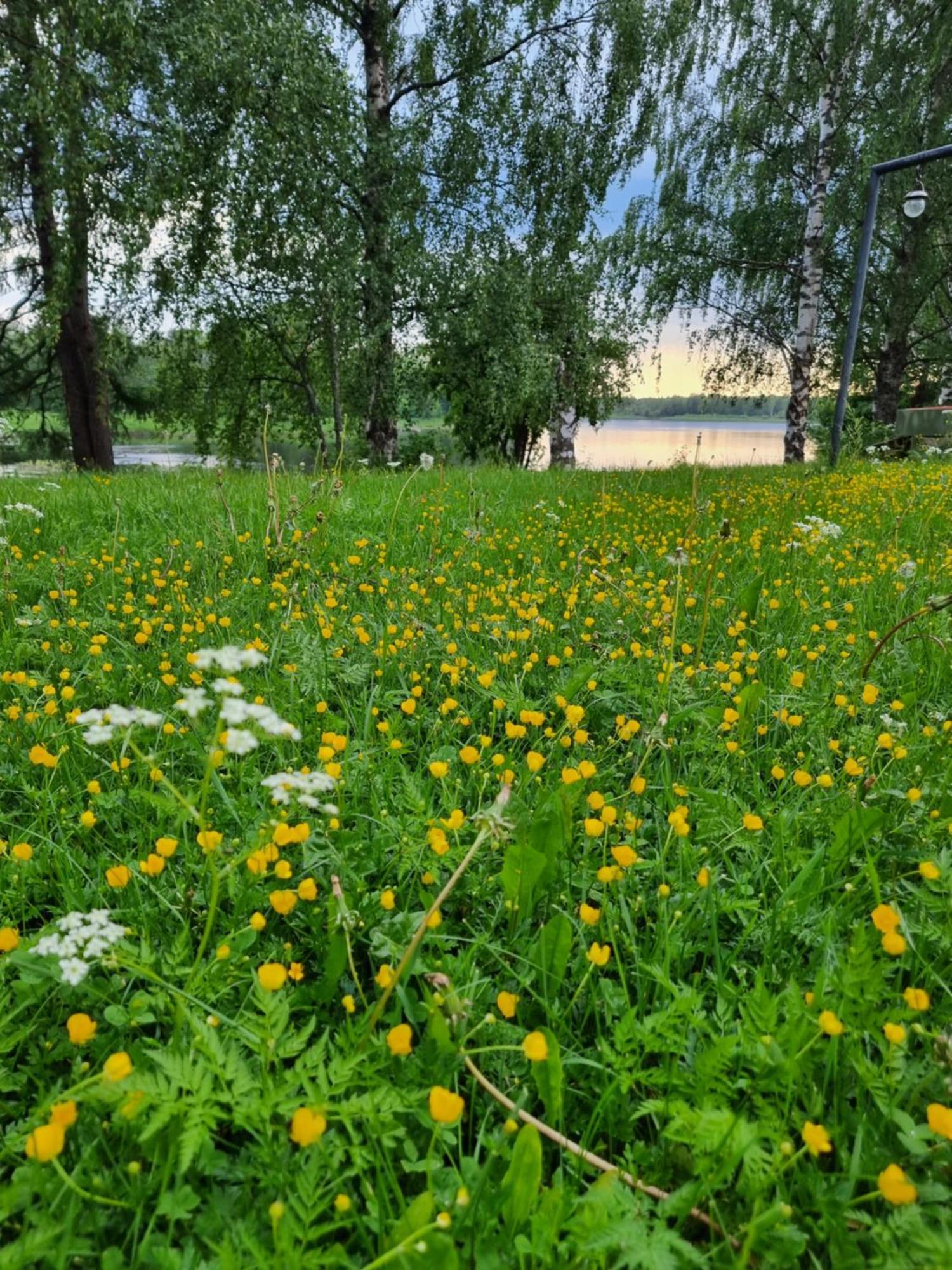 Wanha Kunnantalo Appartement Pudasjarvi Buitenkant foto