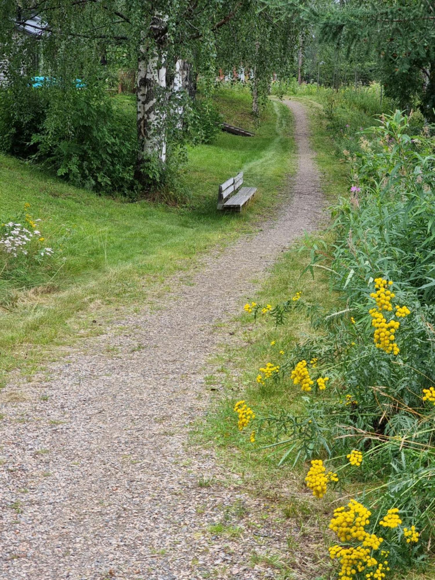 Wanha Kunnantalo Appartement Pudasjarvi Buitenkant foto